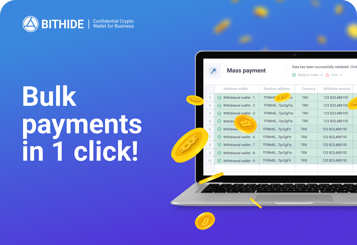 Top 5 Benefits of Automating Bulk Crypto Payments with BitHide