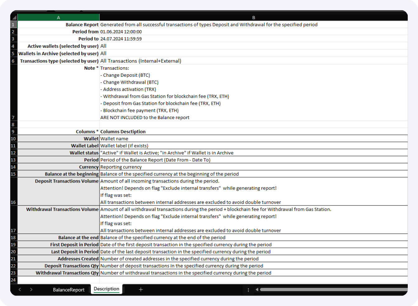 View of the new "Description" sheet in the report